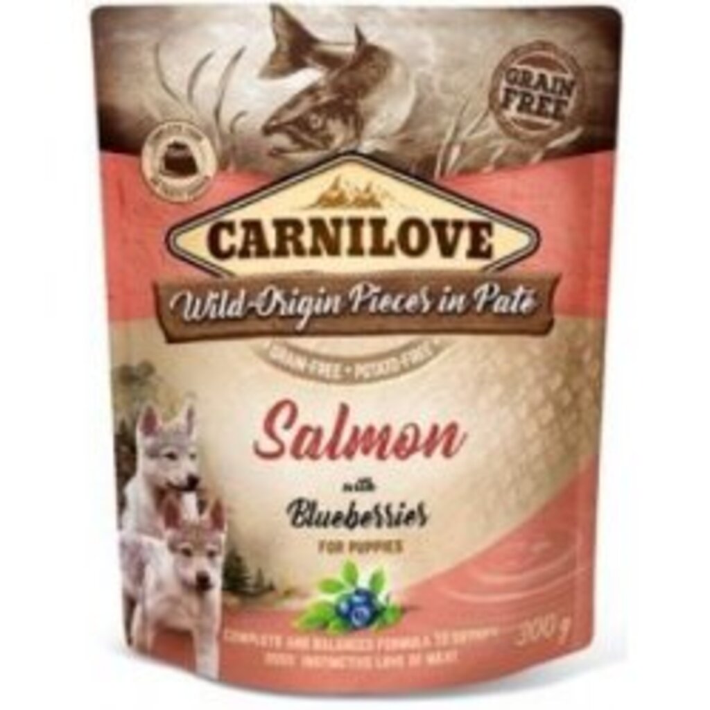 Carnilove Dog Pouch Paté Salmon & Blueberry Puppies 300g