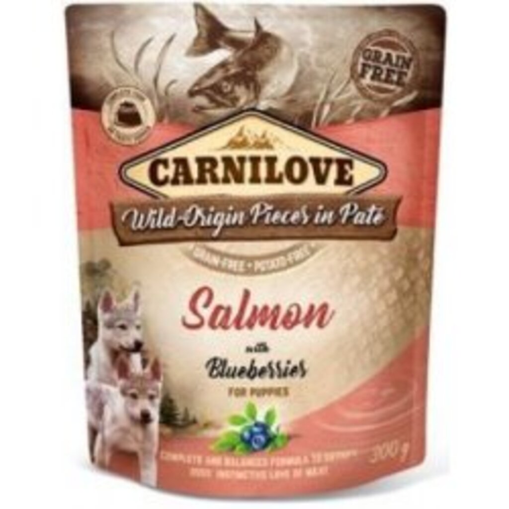 Carnilove Dog Pouch Paté Salmon & Blueber Puppies 300g