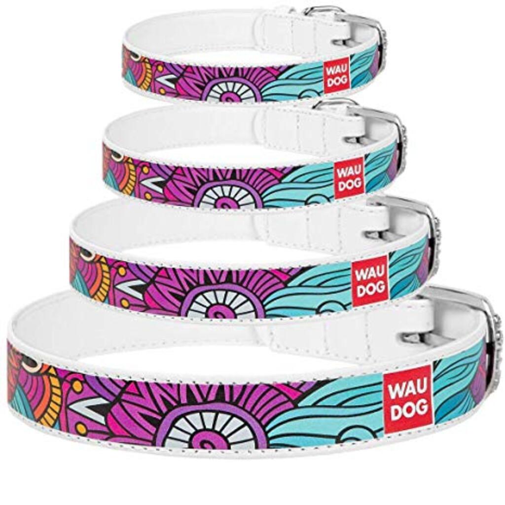 Obojek kožený WAUDOG Summer - bílý (19-25cm/1,2cm)