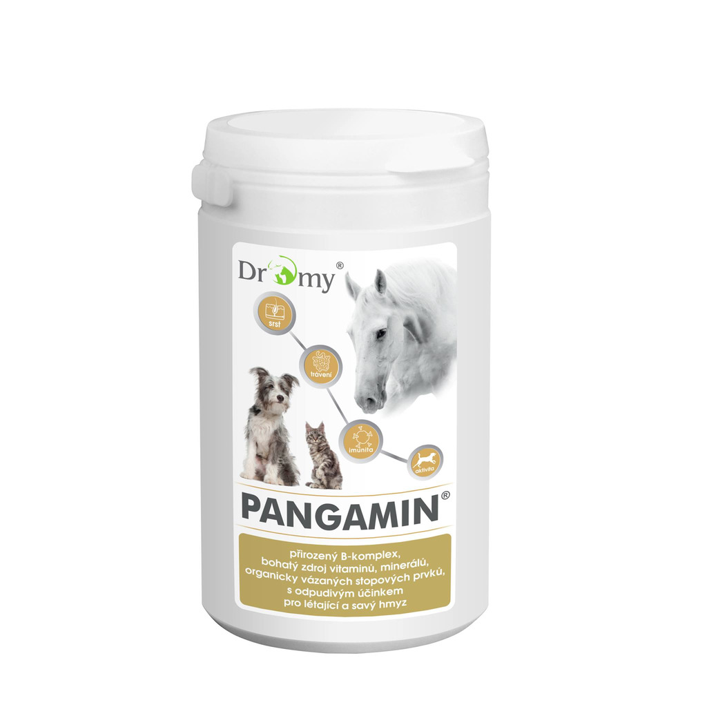 Dromy Pangamin® 2000 tbl. pro psy