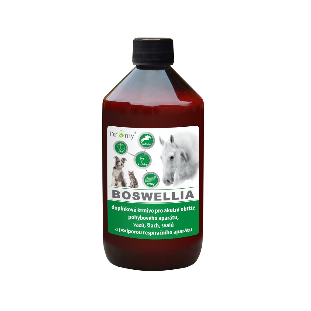 Dromy BOSWELLIA Serrata liq. 1000 ml