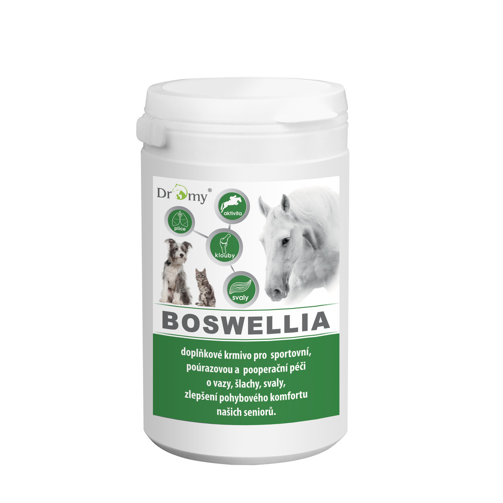 Dromy BOSWELLIA Serrata 750 g