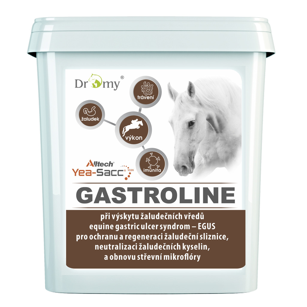 Dromy Gastroline 3000 g