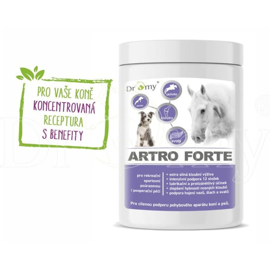 Dromy Artro FORTE 900g