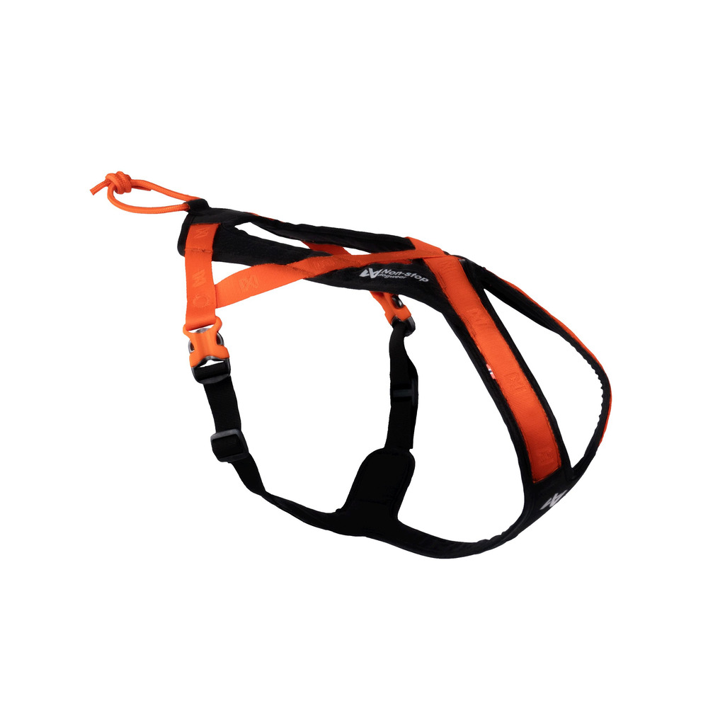 Non-stop dogwear postroj Rush orange