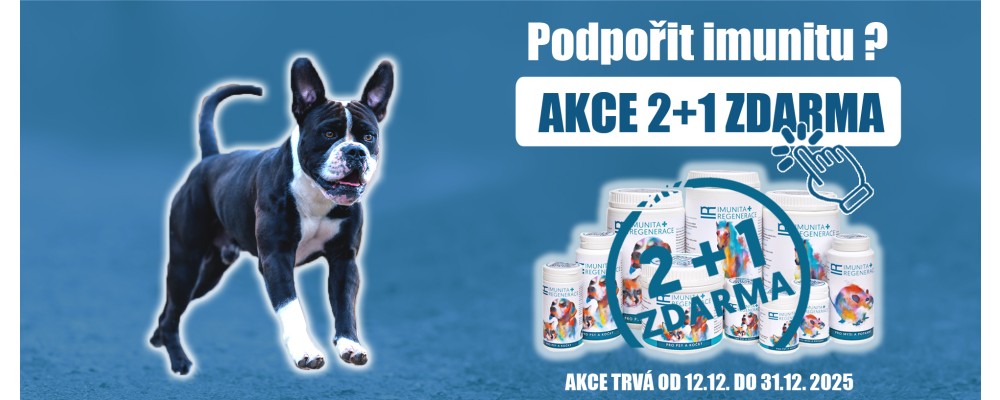 IR Imunita a regenerace