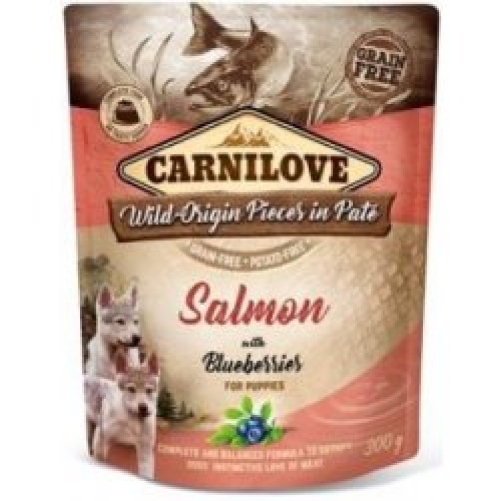 Carnilove Dog Pouch Paté Salmon & Blueberry Puppies 300g