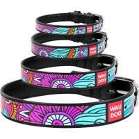 Obojek kožený WAUDOG Summer - černý (19-25cm/1,2cm)