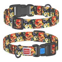 Obojek nylonový Waudog Elegantní lebka (23-35cm/1,5cm)
