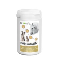 Dromy Pangamin® 800 tbl.