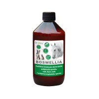 Dromy BOSWELLIA Serrata liq. 1000 ml