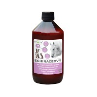 Dromy Echinaceový sirup 1000ml