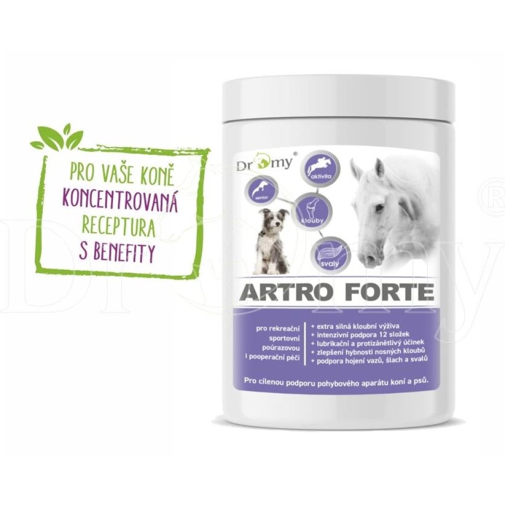 Dromy Artro FORTE 900g
