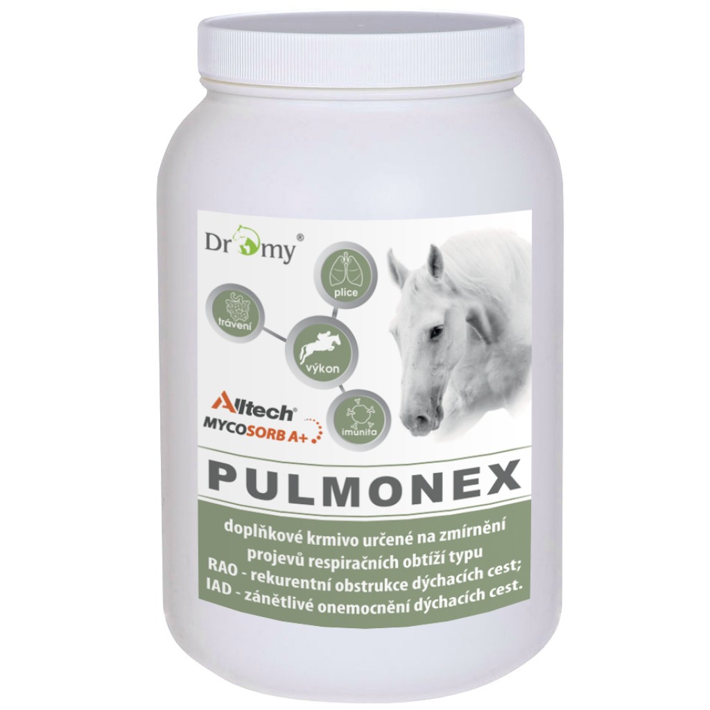 Dromy Pulmonex 1500 g