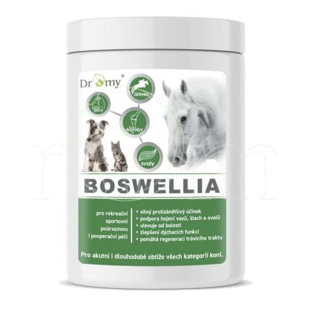 Dromy BOSWELLIA FORTE 750 g