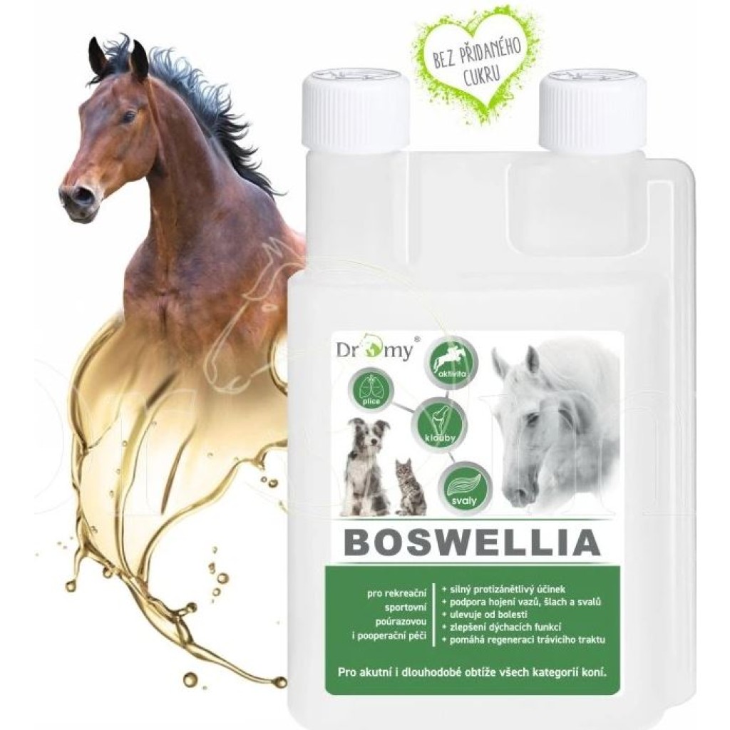 Dromy BOSWELLIA liquid 1000 ml