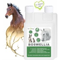 Dromy BOSWELLIA liquid 1000 ml