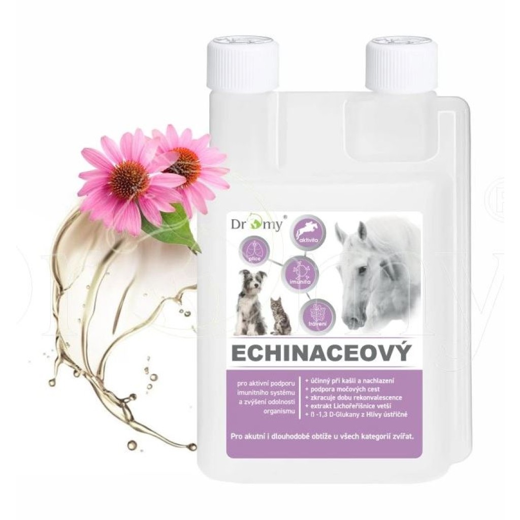 Dromy Echinaceový sirup 1000ml