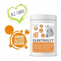 Dromy Elektro-Aminolyt 2500g
