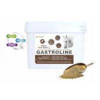 Dromy Gastroline 3000 g