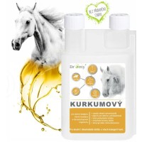 Dromy Kurkumový sirup 1000 ml
