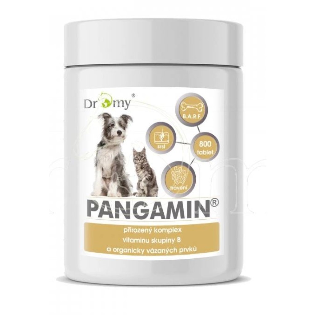 Dromy Pangamin® 2000 tbl. pro psy