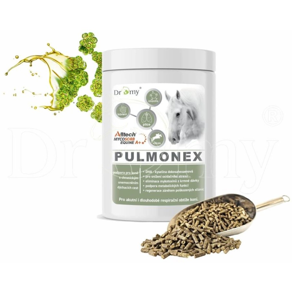 Dromy Pulmonex 1500 g