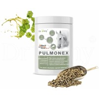 Dromy Pulmonex 1500 g