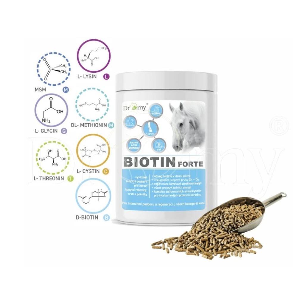 Dromy Biotin FORTE 750 g