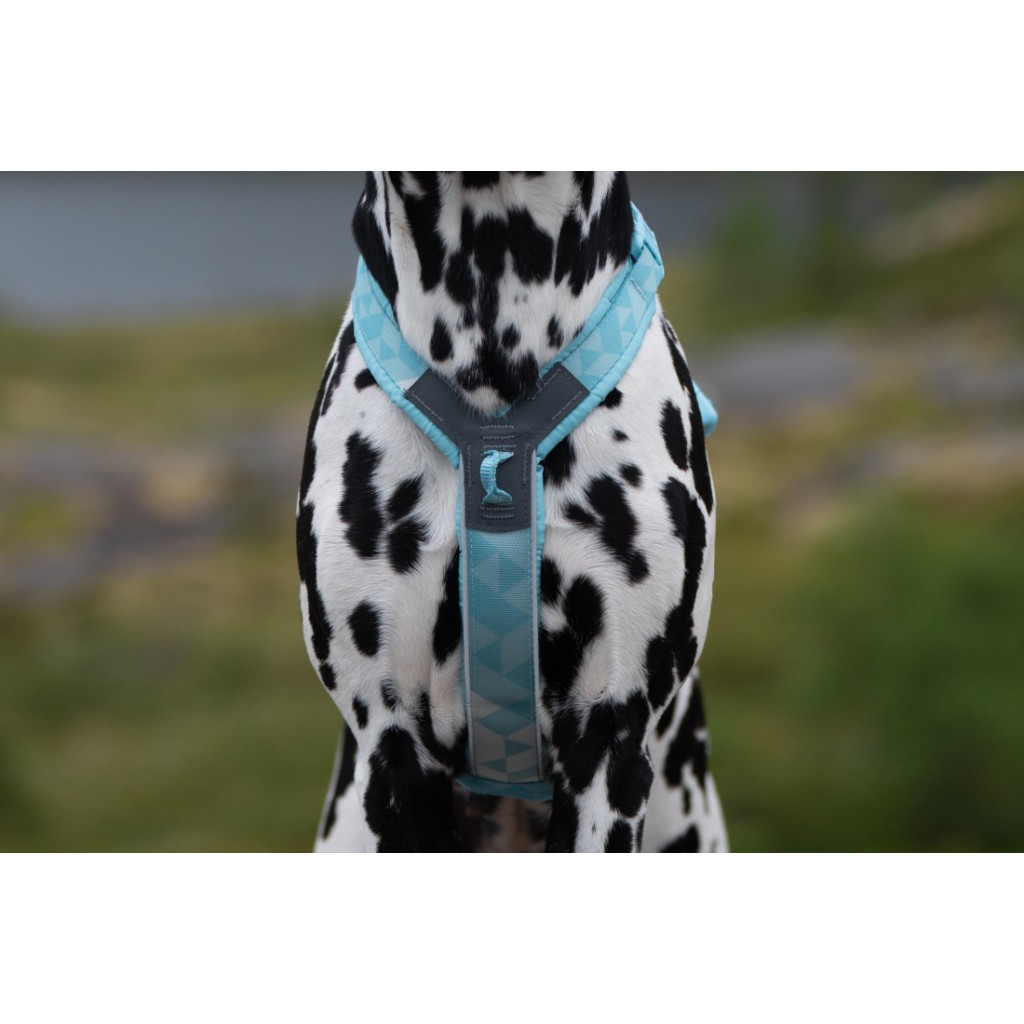 Non-stop Dogwear Postroj Trekking line harness CLIP'N™ - světle modrá