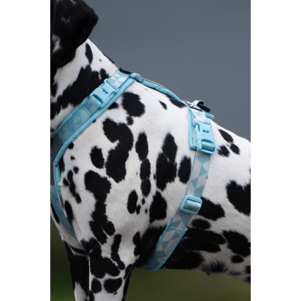 Non-stop Dogwear Postroj Trekking line harness CLIP'N™ - světle modrá