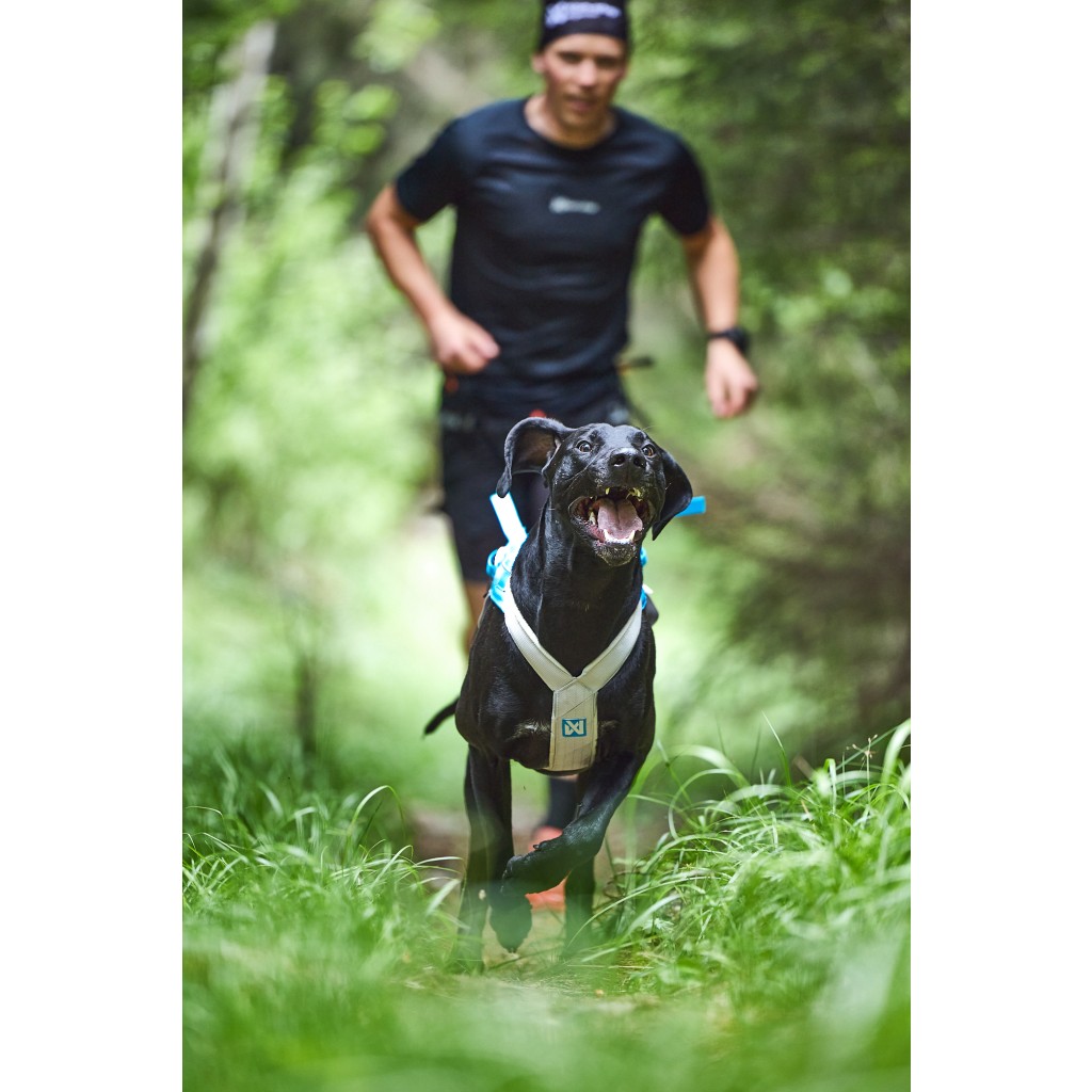Non-stop Dogwear Postroj Freemotion 5.0 - modro-šedá