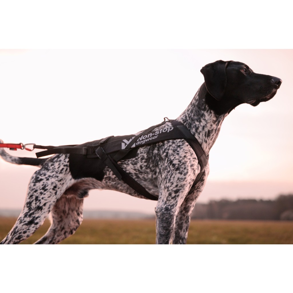 Postroj Freemotion Harness PRO