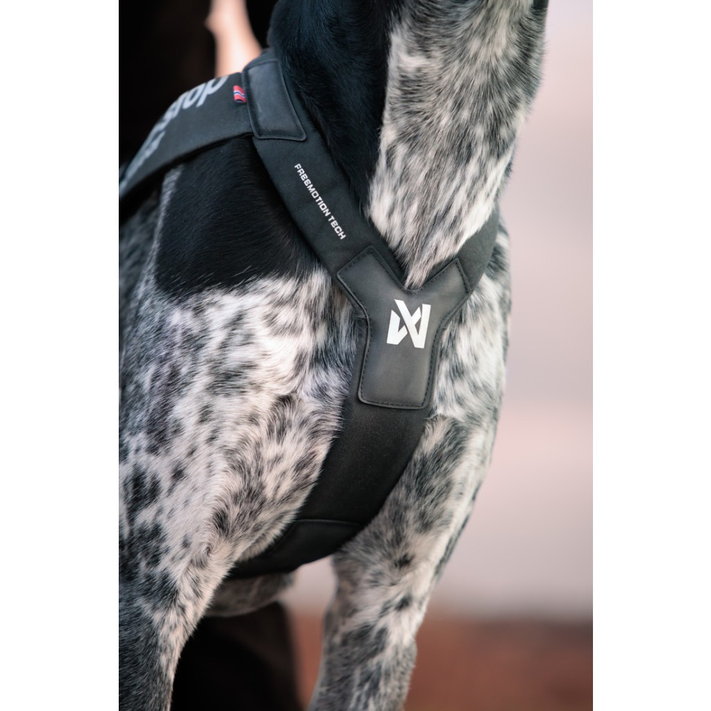 Postroj Freemotion Harness PRO