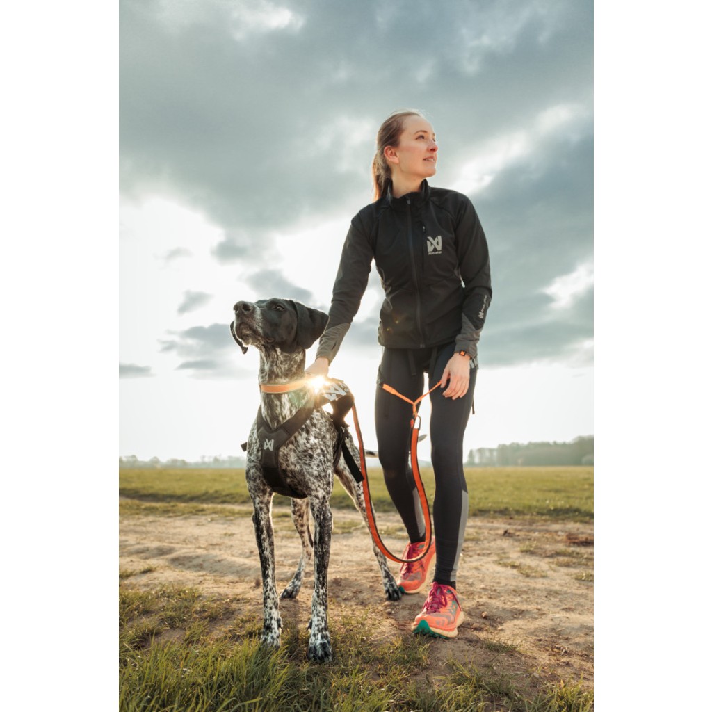 Postroj Freemotion Harness PRO