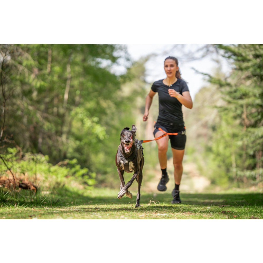 Postroj Freemotion Harness PRO