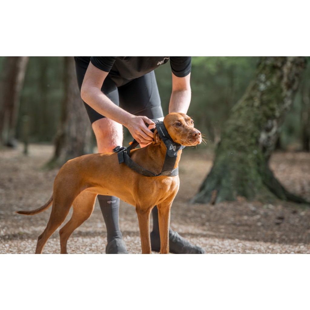 Postroj Freemotion Harness PRO