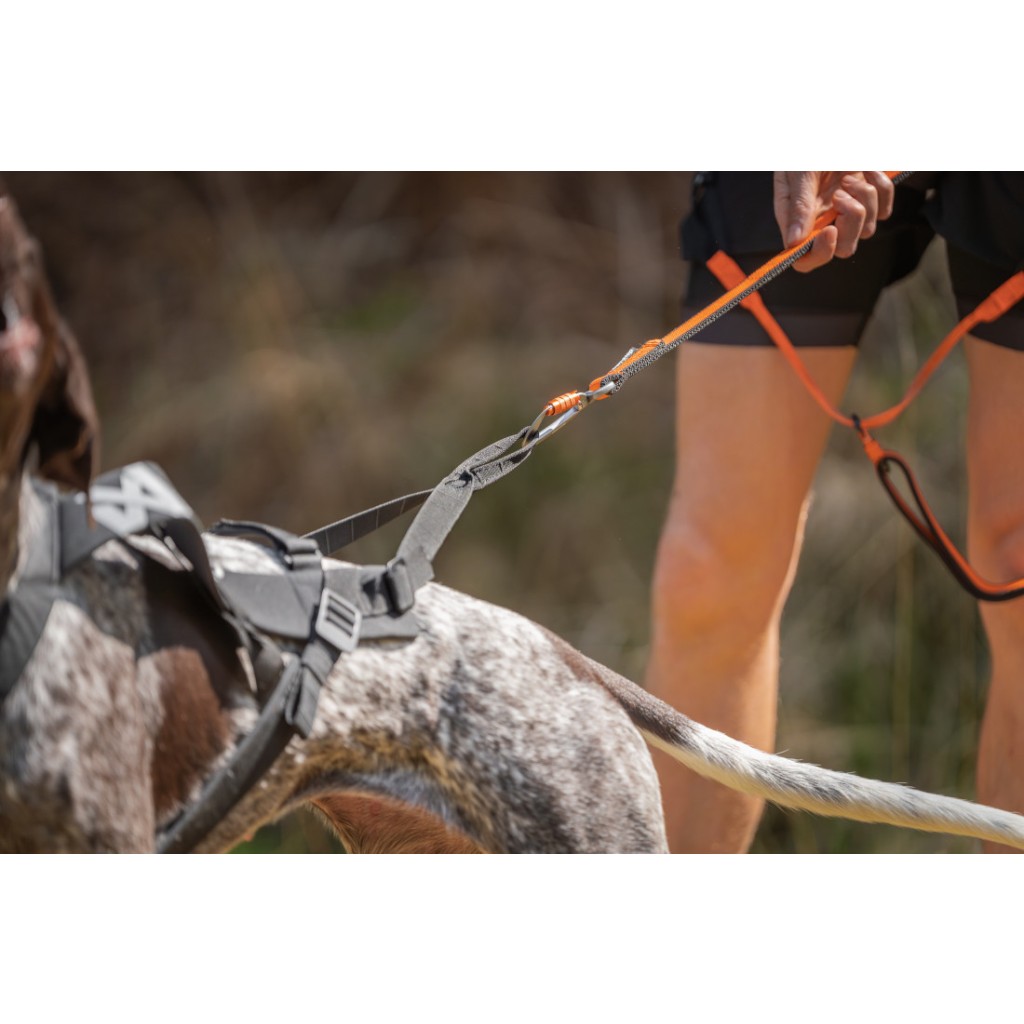 Postroj Freemotion Harness PRO