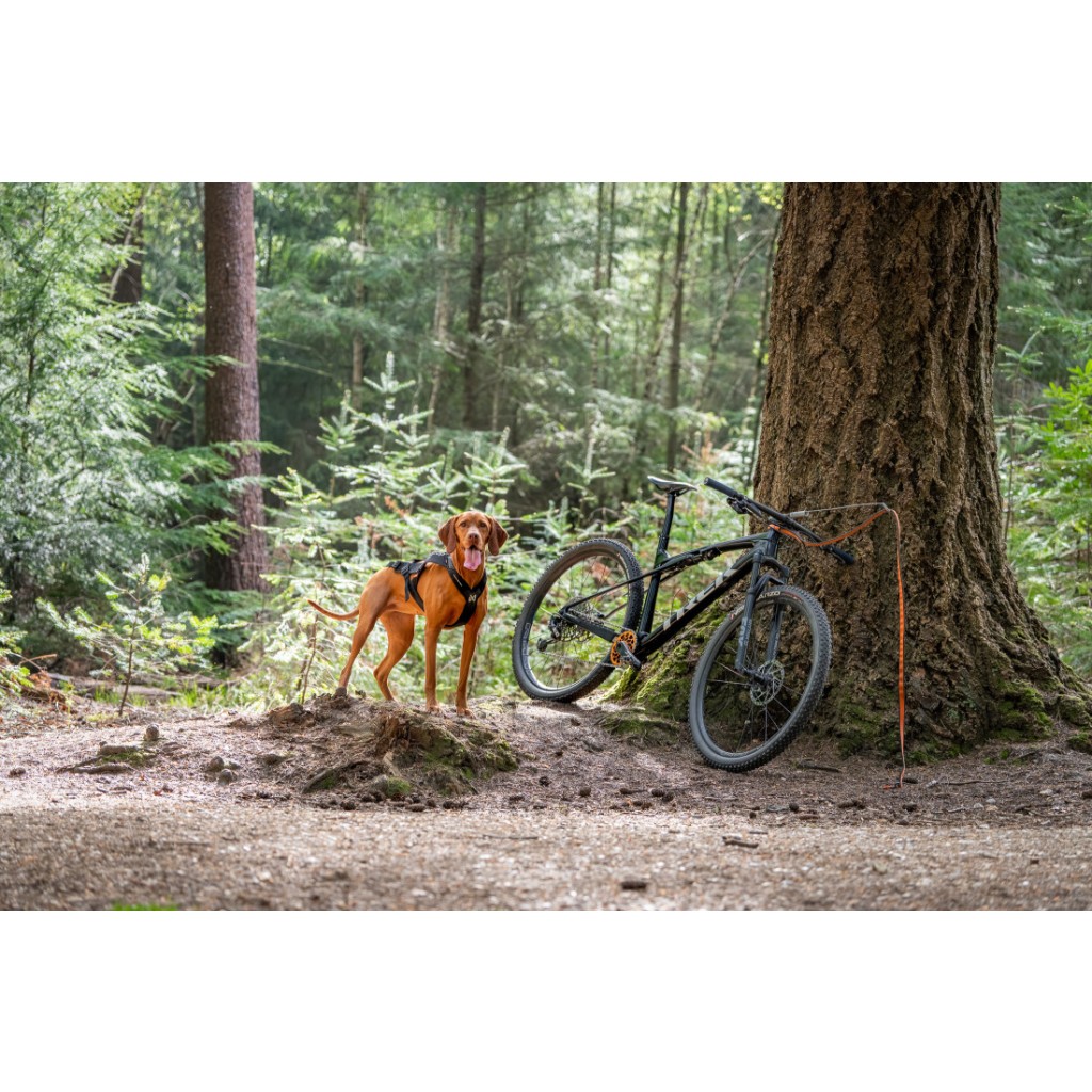 Postroj Freemotion Harness PRO