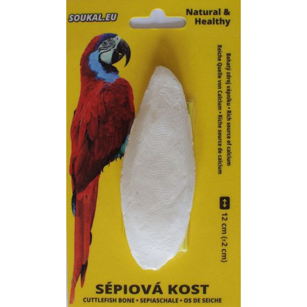 Sépiová kost na kartě cca 12 cm