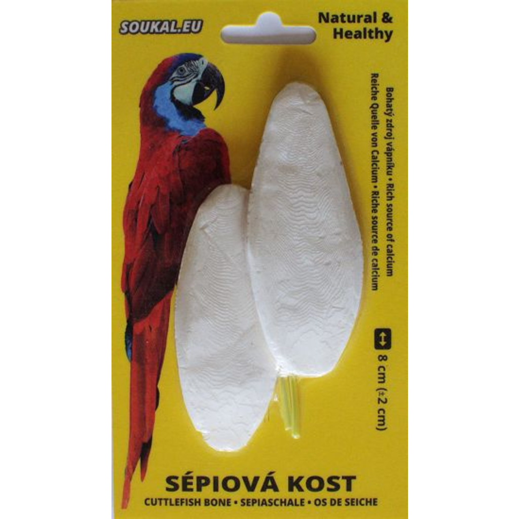 Sépiová kost na kartě cca 8 cm (2 ks)