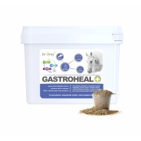 Dromy GastroHeal MASH 6 kg