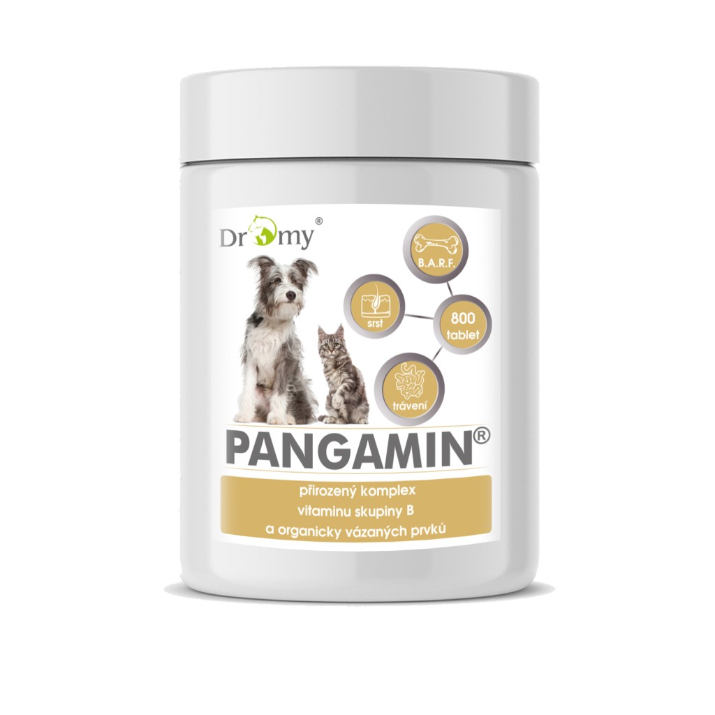Dromy Pangamin® MINI 1000 tablet