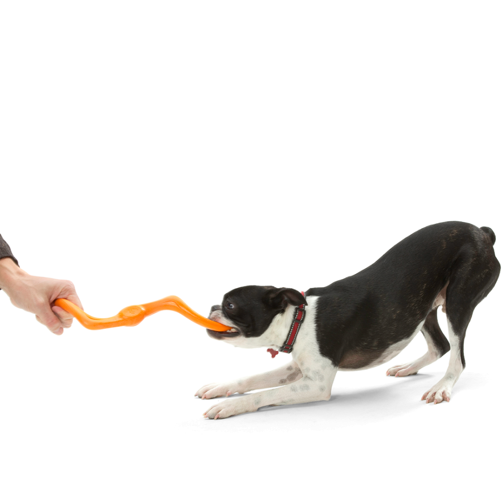 West Paw Bumi Large - 24 cm
