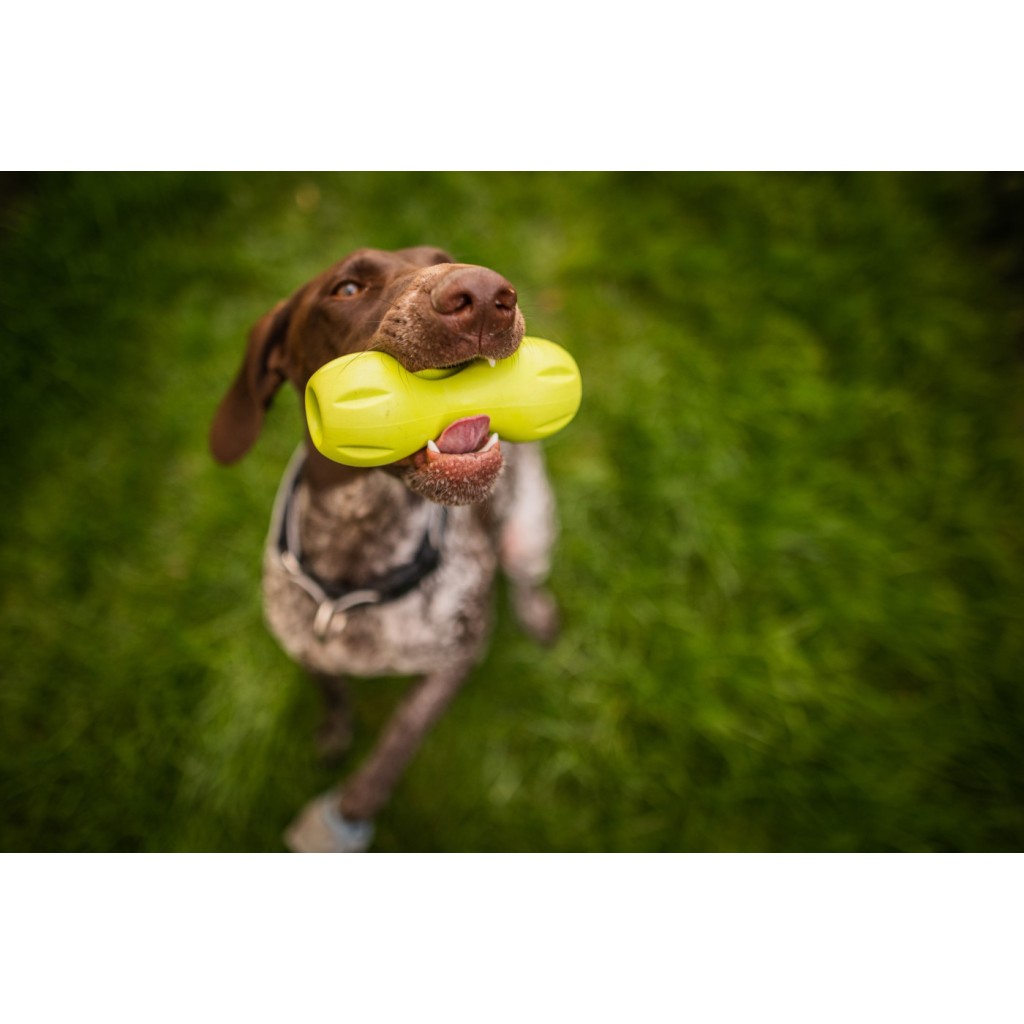 West Paw Qwizl small - 14 cm