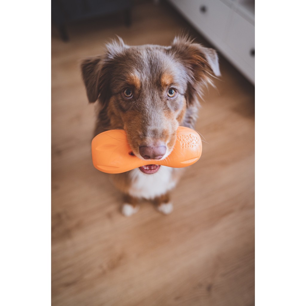 West Paw Qwizl Large - 17 cm