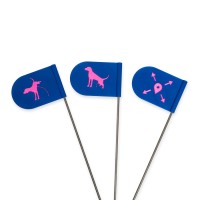 Sada cedulek na zkoušky Spotmarks