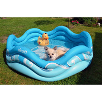 Alcott Nafukovací bazén pro psy, modrý, 121,9x40,6x121,9cm