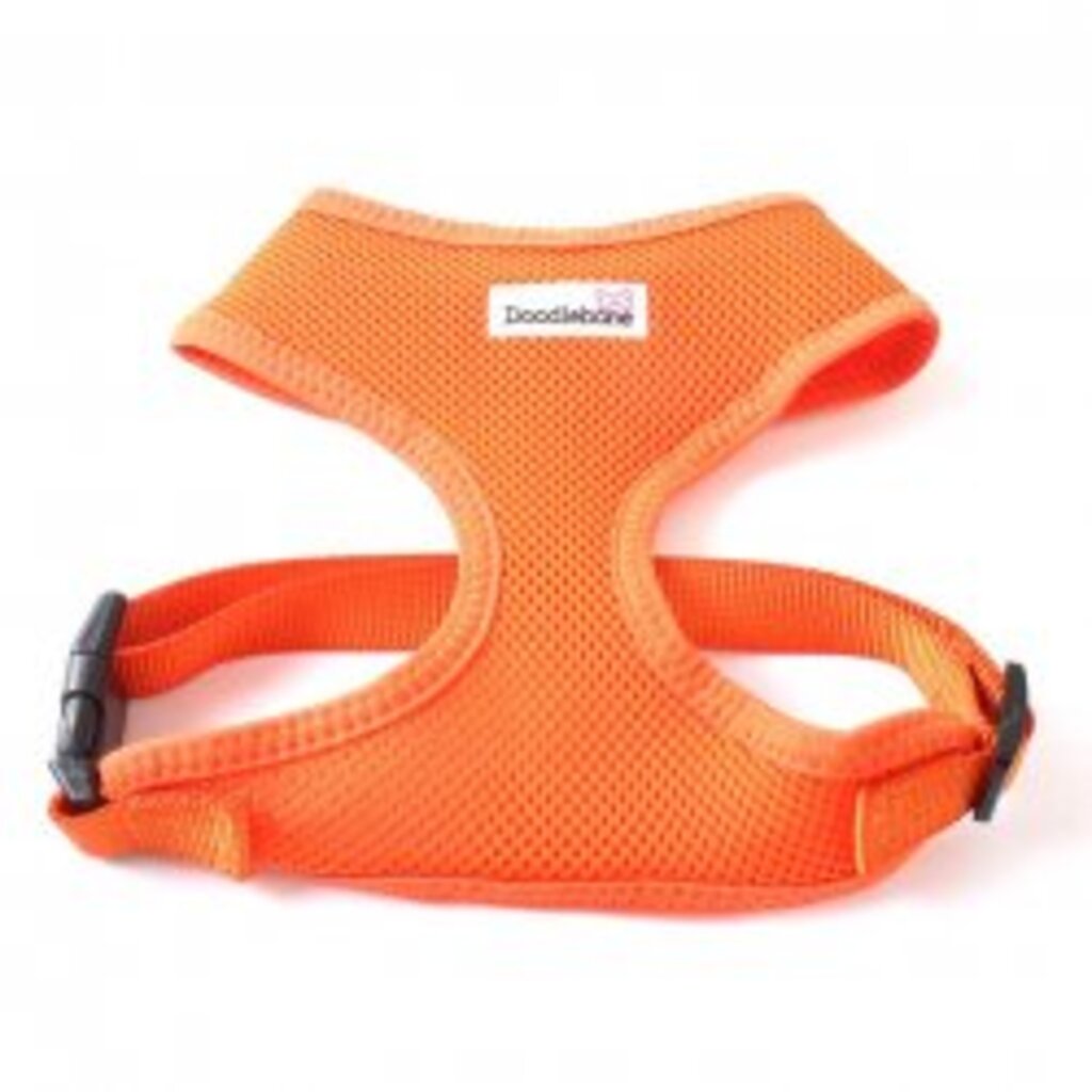 Postroj Doodlebone Airmesh oranžový - velikost M