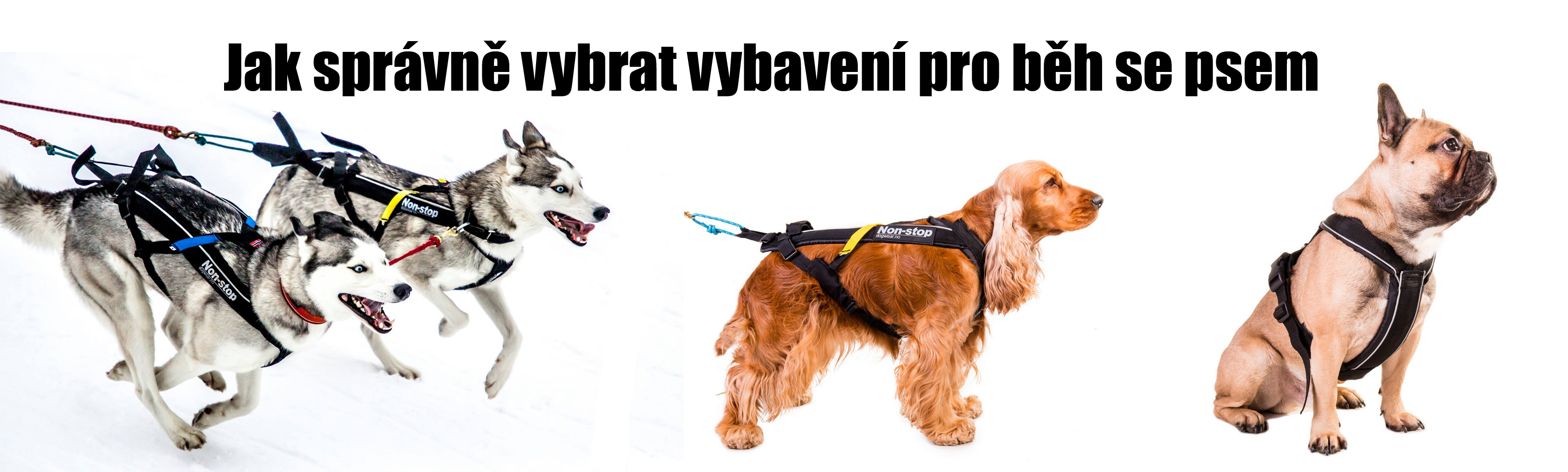 Správný výběr vybavení pro běh se psem